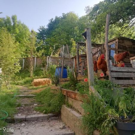 La Cabane Des Trappeurs Crépy-en-Valois Exterior foto